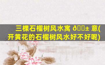 三棵石榴树风水寓 🐱 意(开黄花的石榴树风水好不好呢)
